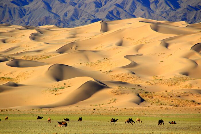 Mongolia – July 2027